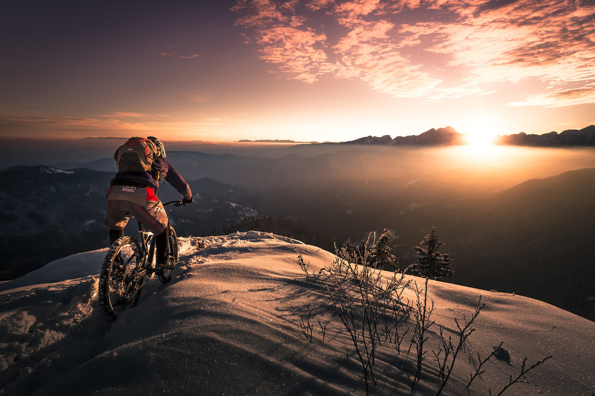 poster-print-winter-shredding-x
