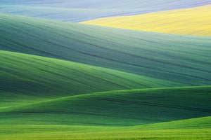 3-piece-acrylic-print-lines