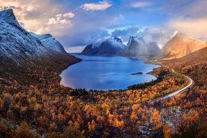 framedposter-print-autumn-in-senja-x