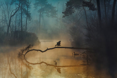 poster-print-blue-hour-xqf