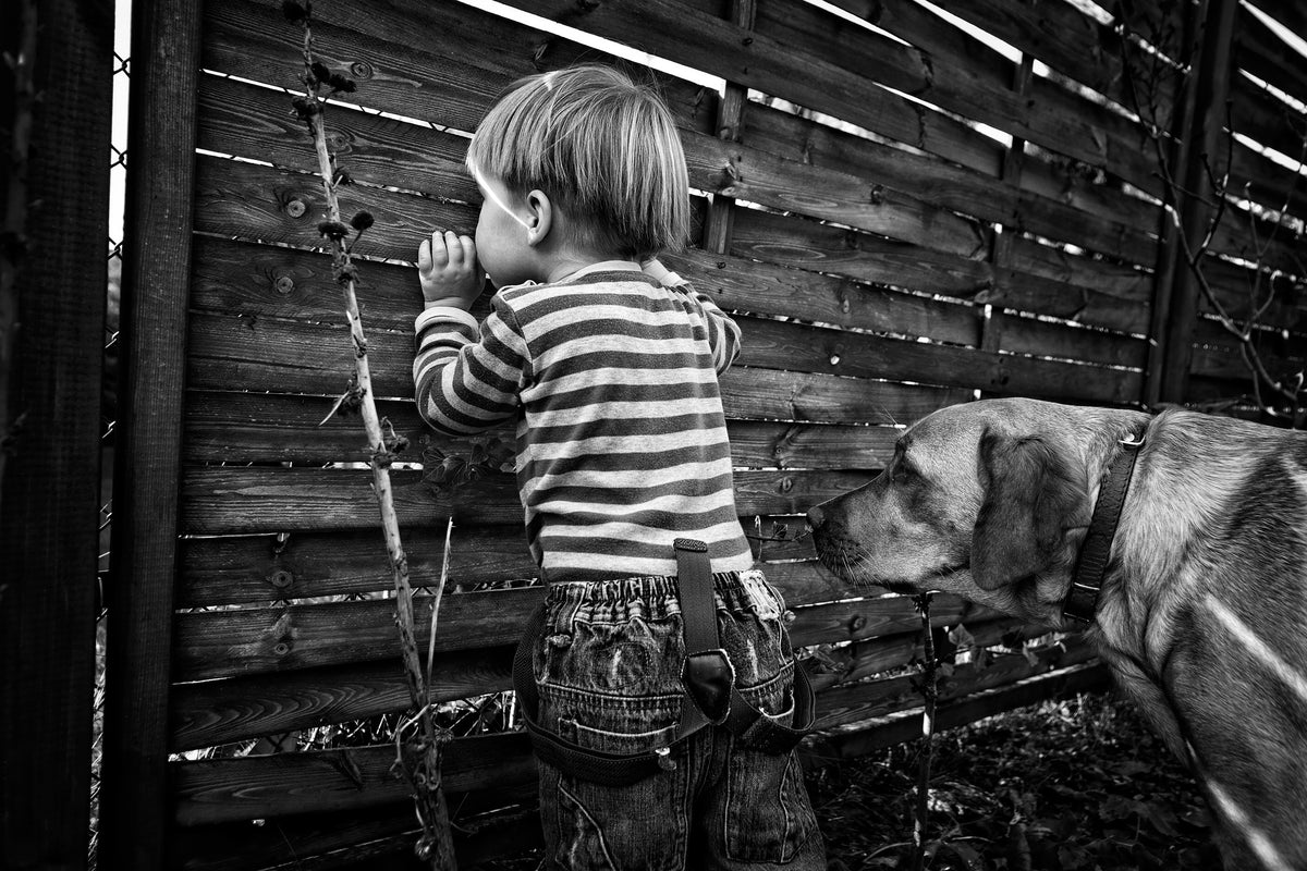 framedposter-print-the-world-from-behind-the-fence-x