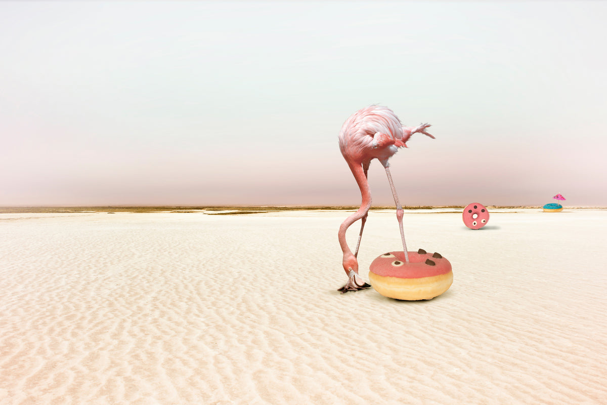 framedposter-print-donutbeach-x