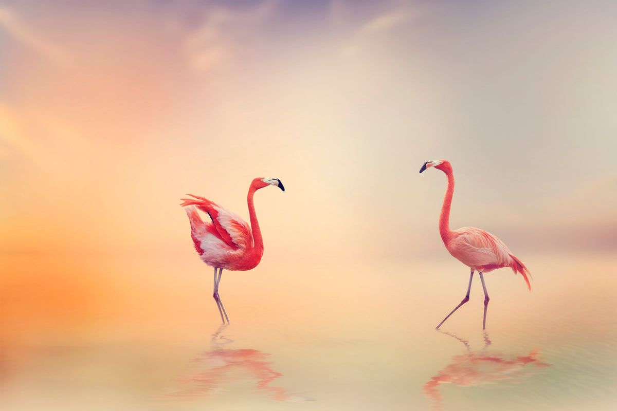 3-piece-canvas-print-romantic-flamingos