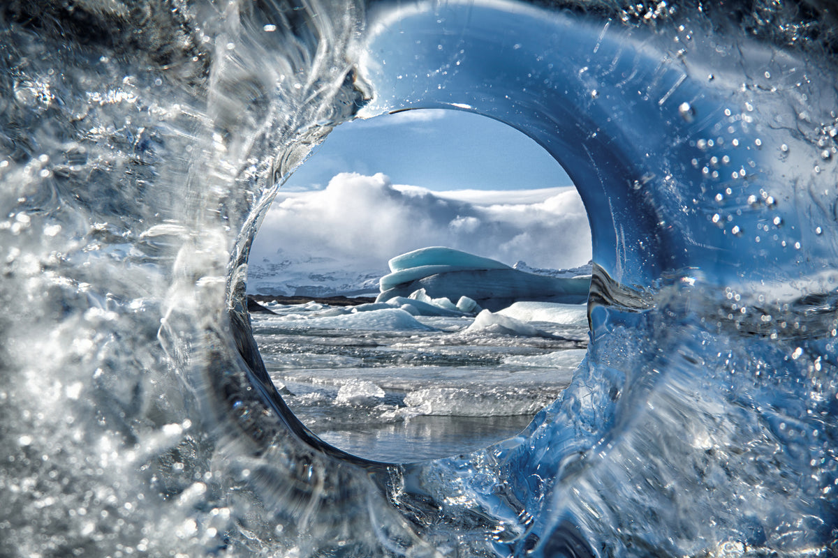aluminium-print-circle-of-life-x