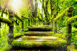 3-piece-acrylic-print-moss