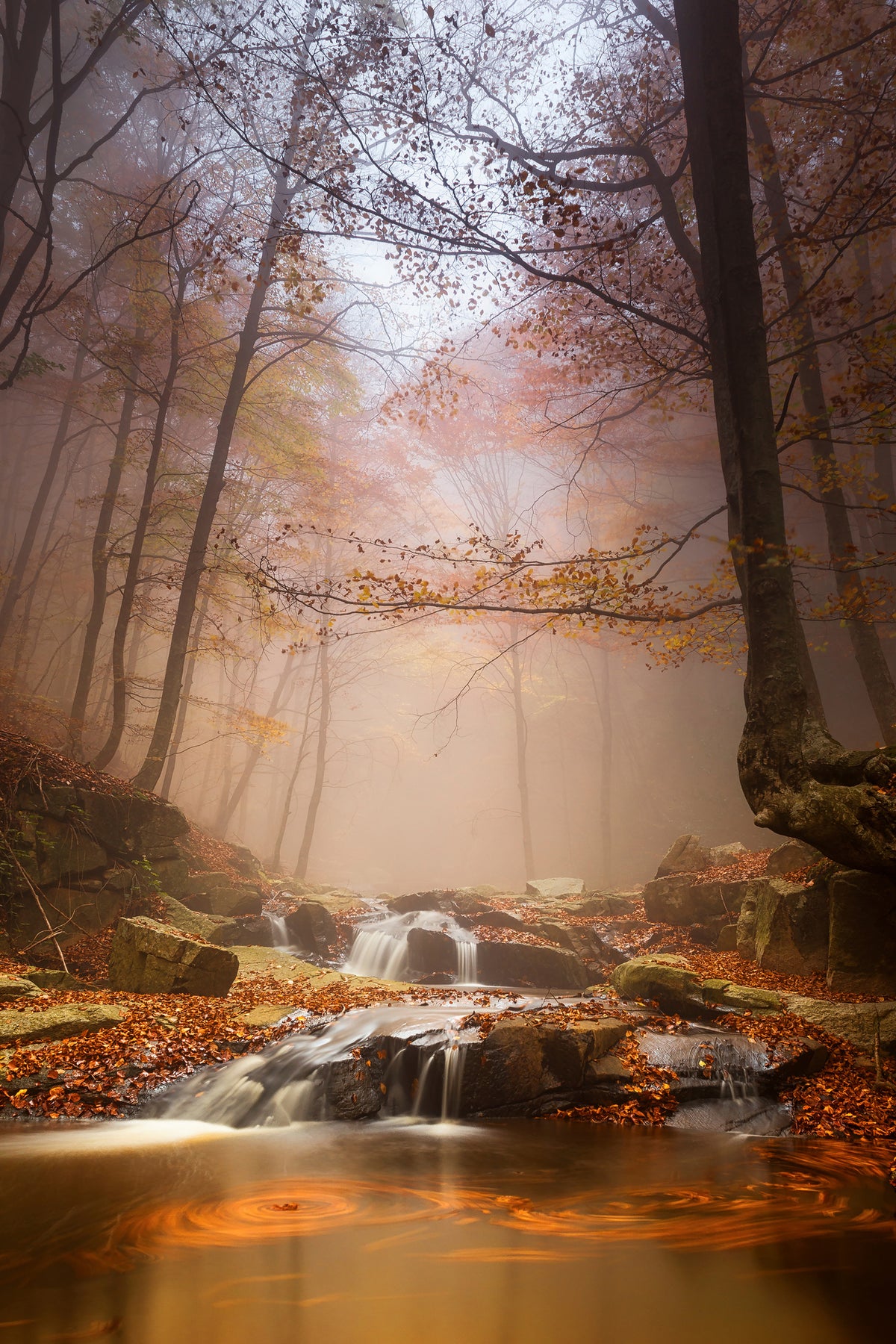 aluminium-print-mistyc-mist-x
