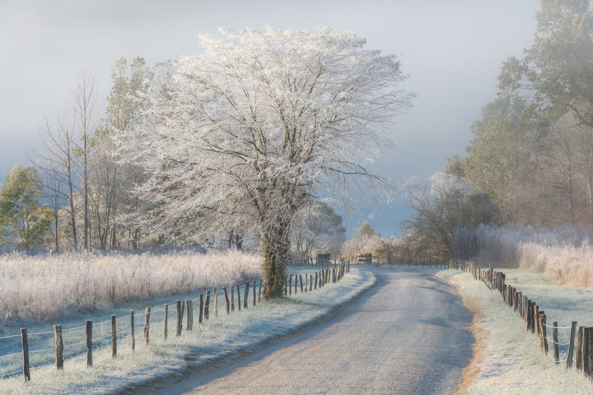 3-piece-canvas-print-a-frosty-morning