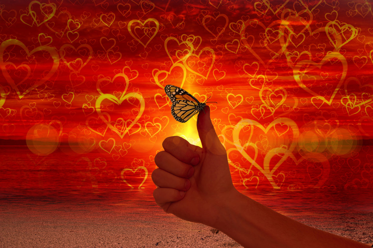 framedcanvas-print-the-butterfly-and-the-love