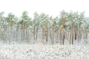 aluminium-print-snow-world