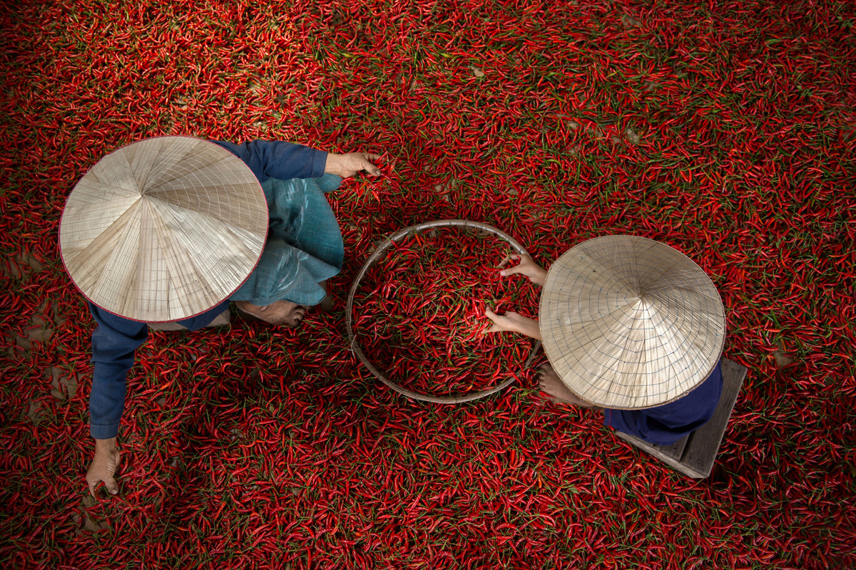 acrylic-print-chilli