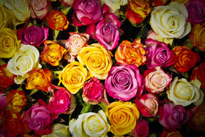 framedcanvas-print-many-colorful-rose-petals