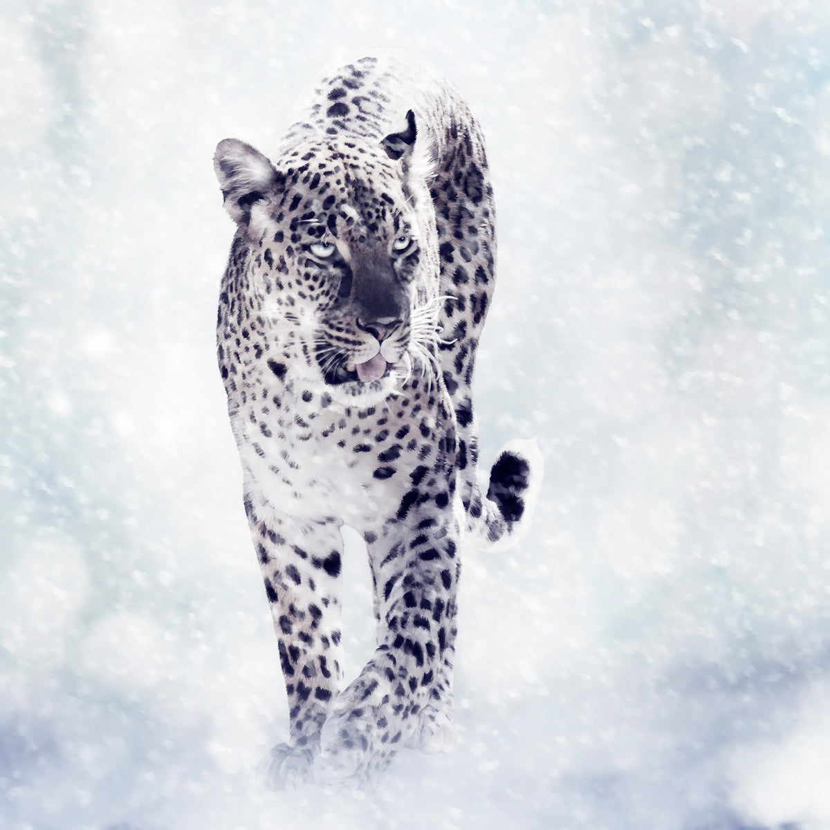 aluminium-print-photo-wallaper-the-leopard