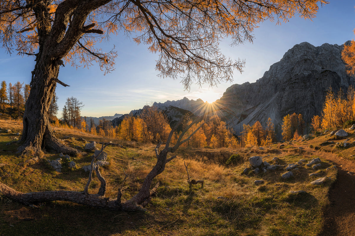 canvas-print-autumn-paradise-x