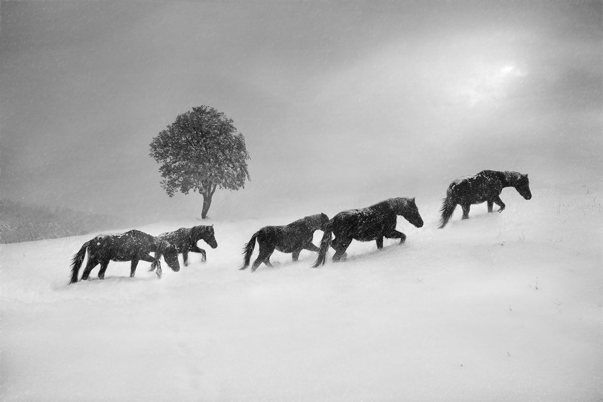 acrylic-print-untitled-xnw
