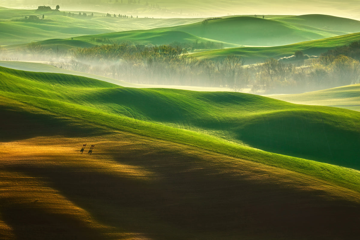 canvas-print-freedom-ii