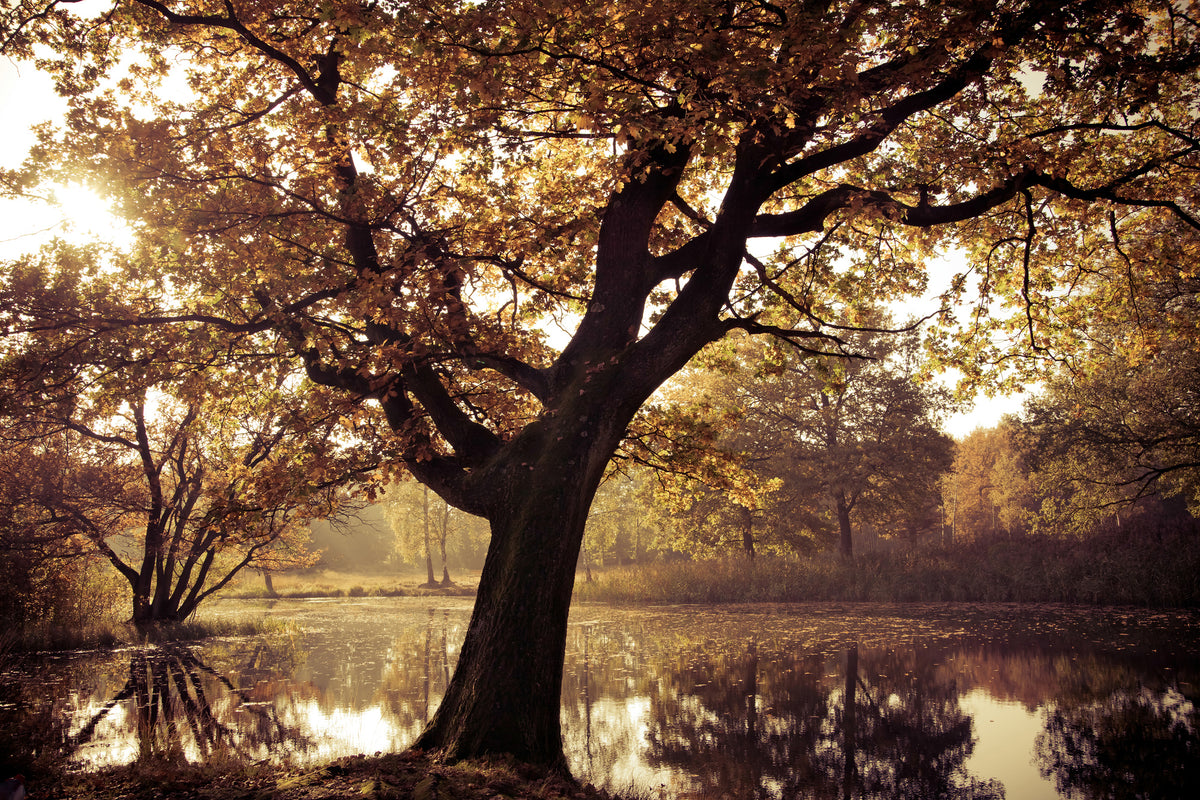 modern-3-piece-aluminium-print-landscape-park
