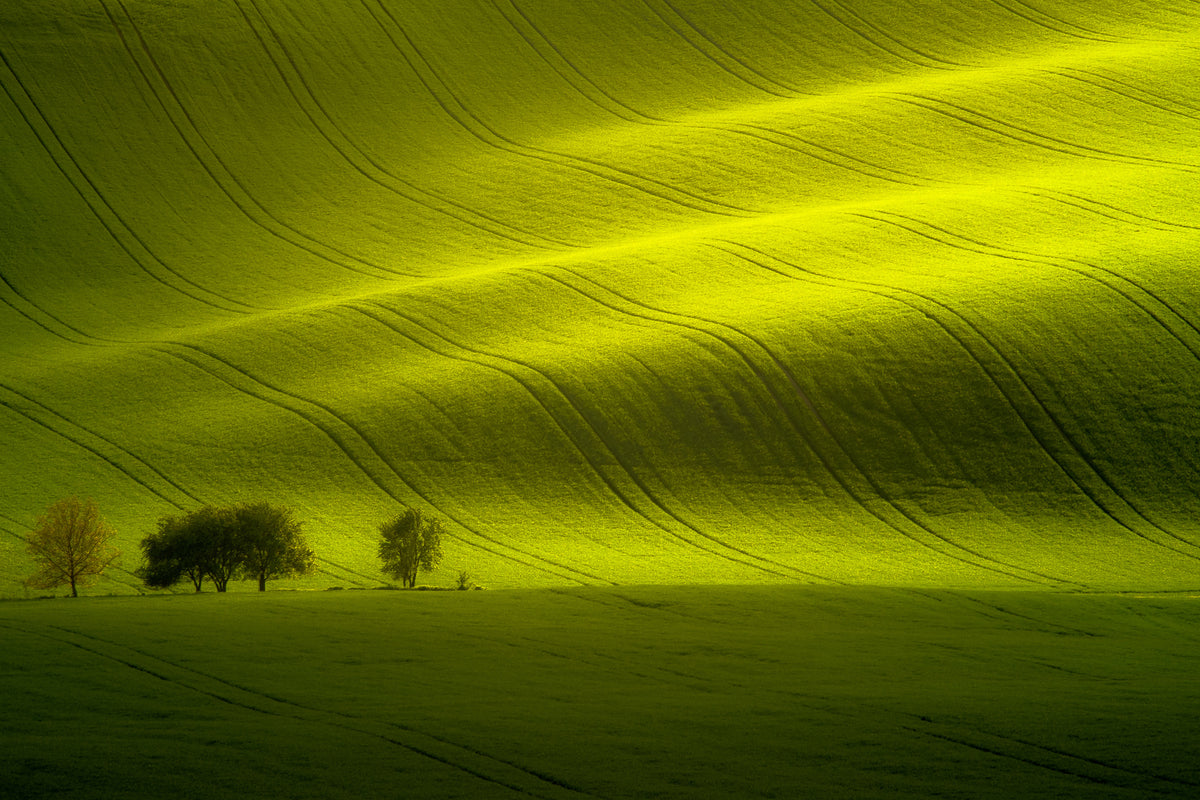 poster-print-sunlight-xow