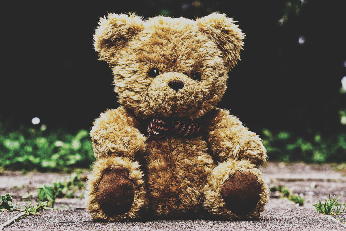 canvas-print-love-teddy