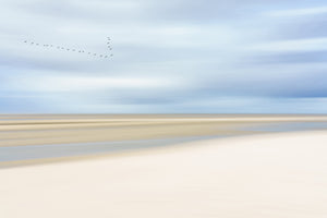acrylic-print-at-the-ocean-iii-x