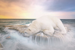 modern-3-piece-canvas-print-the-polar-bear-and-the-sea