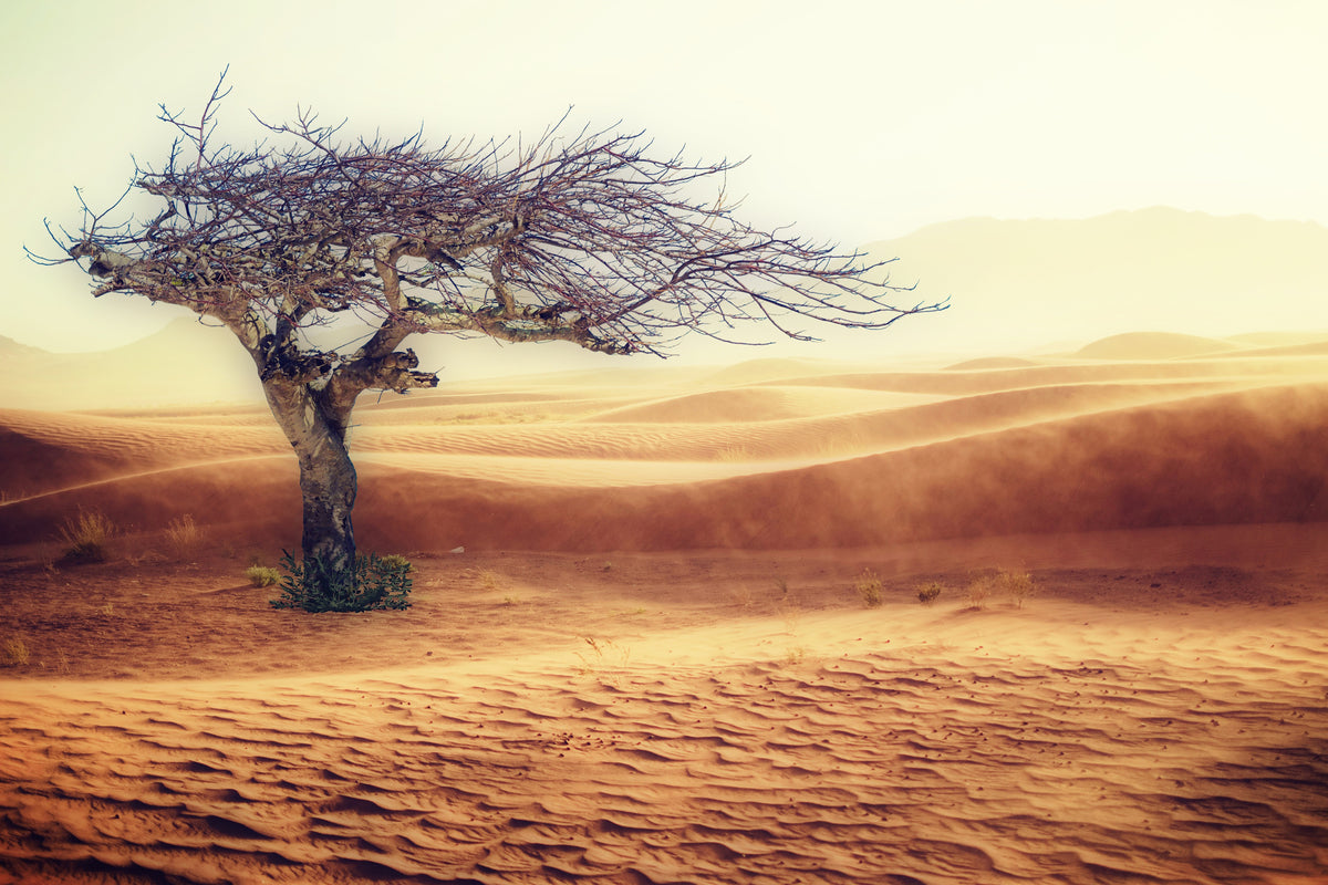 3-piece-aluminium-print-desert-storm