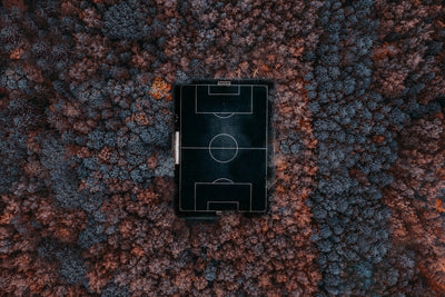 poster-print-playing-in-the-forest-x