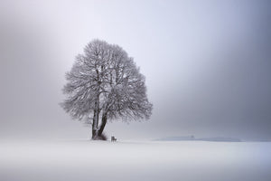 aluminium-print-winter-light-xpy
