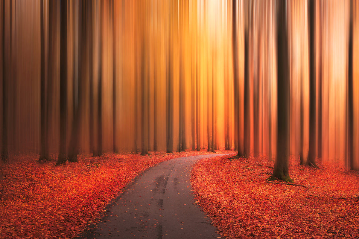 3-piece-aluminium-print-path-to-unknown