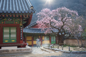 poster-print-the-scent-of-spring-x