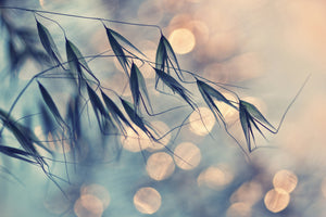 modern-3-piece-canvas-print-straws