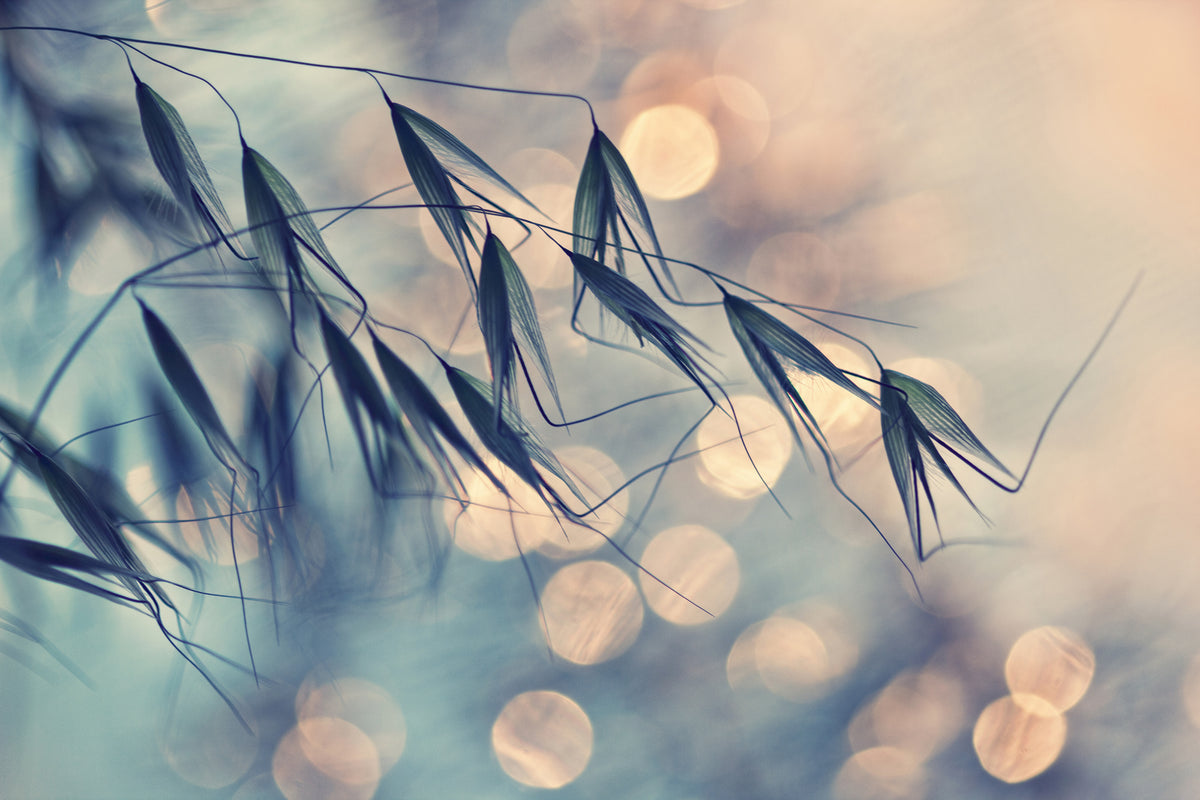 modern-3-piece-canvas-print-straws