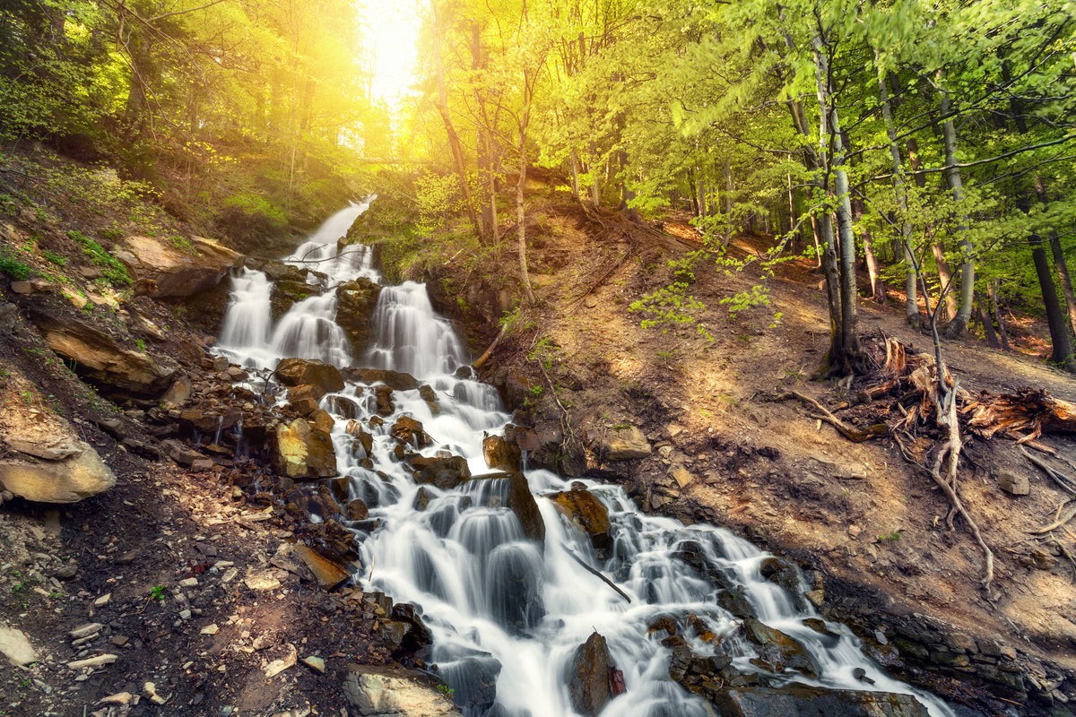 3-piece-aluminium-print-natural-beauty