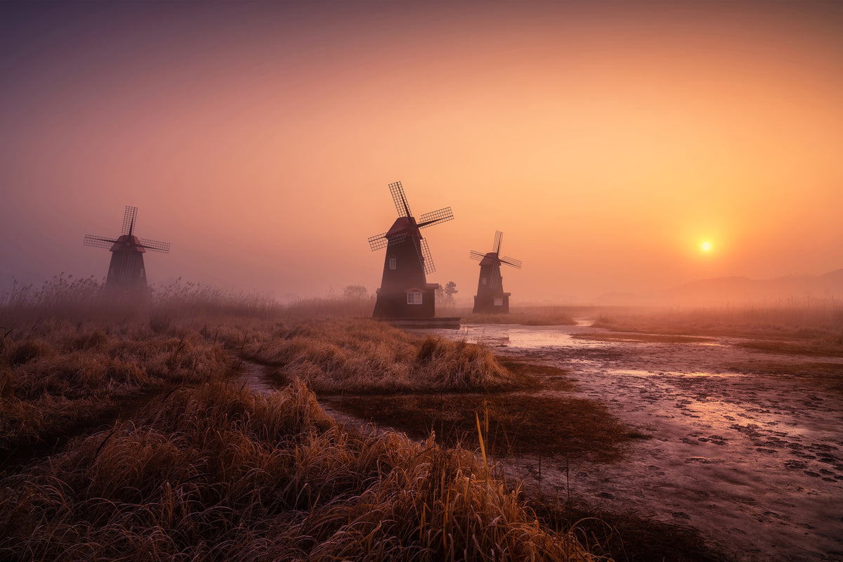 framedcanvas-print-foggy-morning-xji