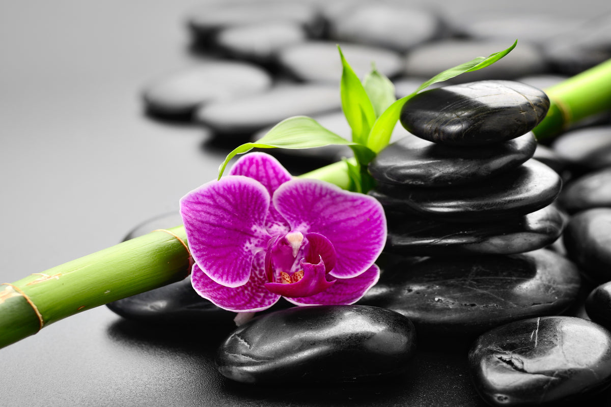 framedcanvas-print-feng-shui-orchid