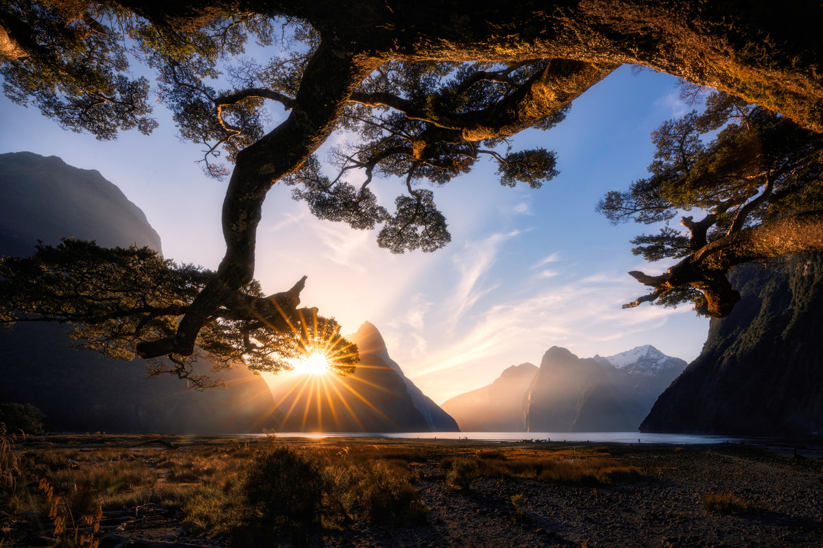 framedposter-print-sunny-day-in-milford-sound-x