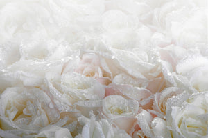 poster-print-white-roses-in-the-morning-dew