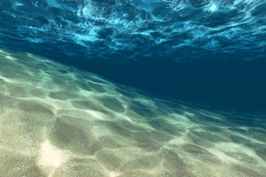 modern-3-piece-aluminium-print-under-the-water