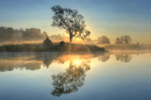 framedposter-print-morning-reflection-x