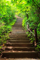 poster-print-wood-stairs