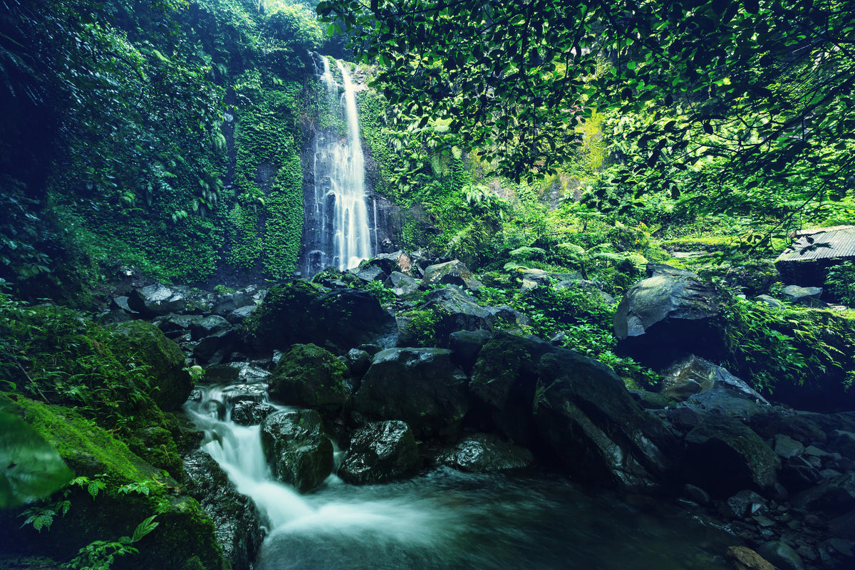 poster-print-nature