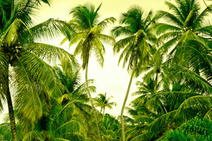 aluminium-print-mural-ready-for-a-vacation