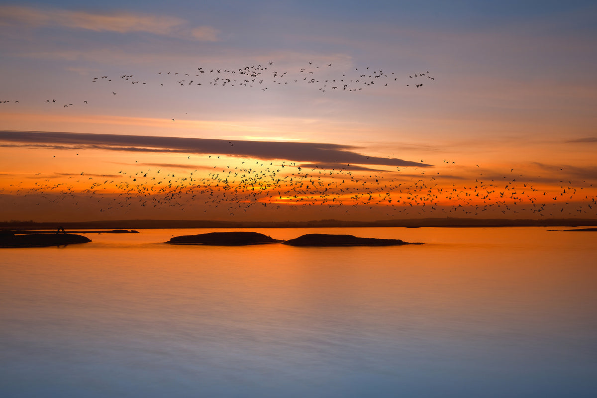 canvas-print-by-sunset