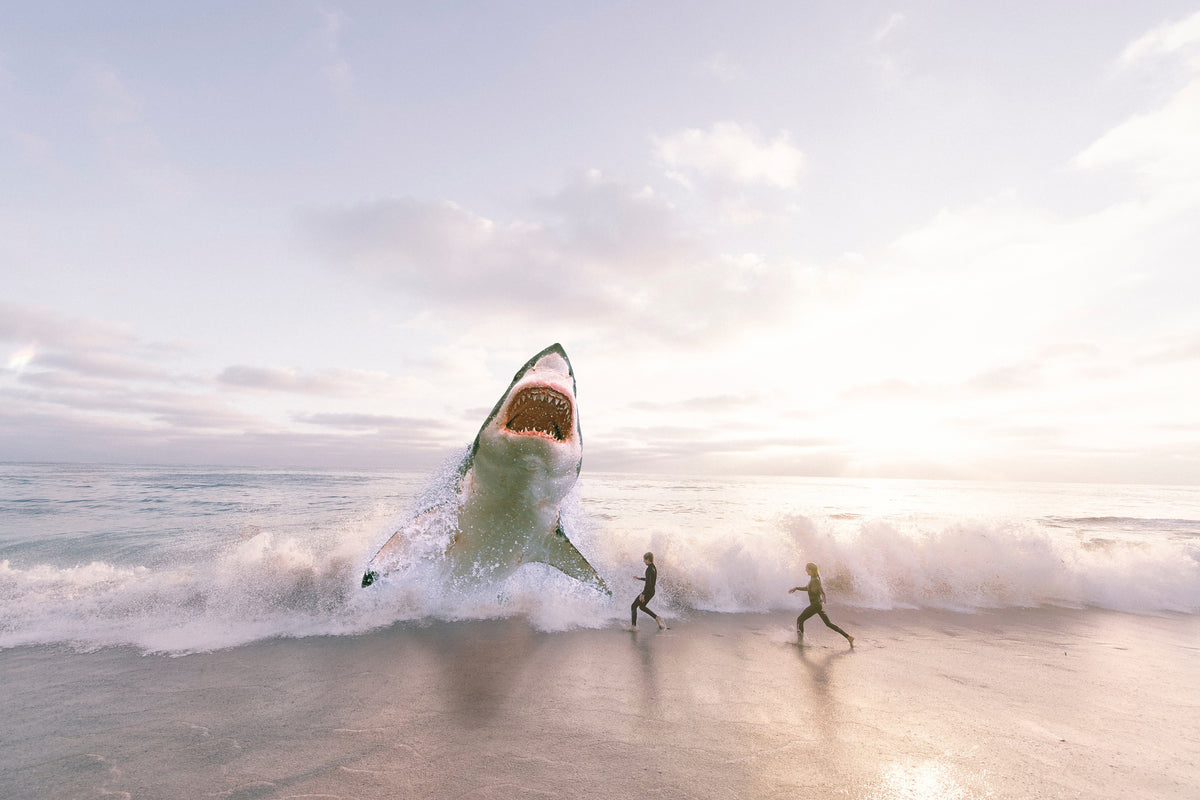 framedcanvas-print-beware-shark