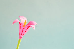 aluminium-print-flowers-origami