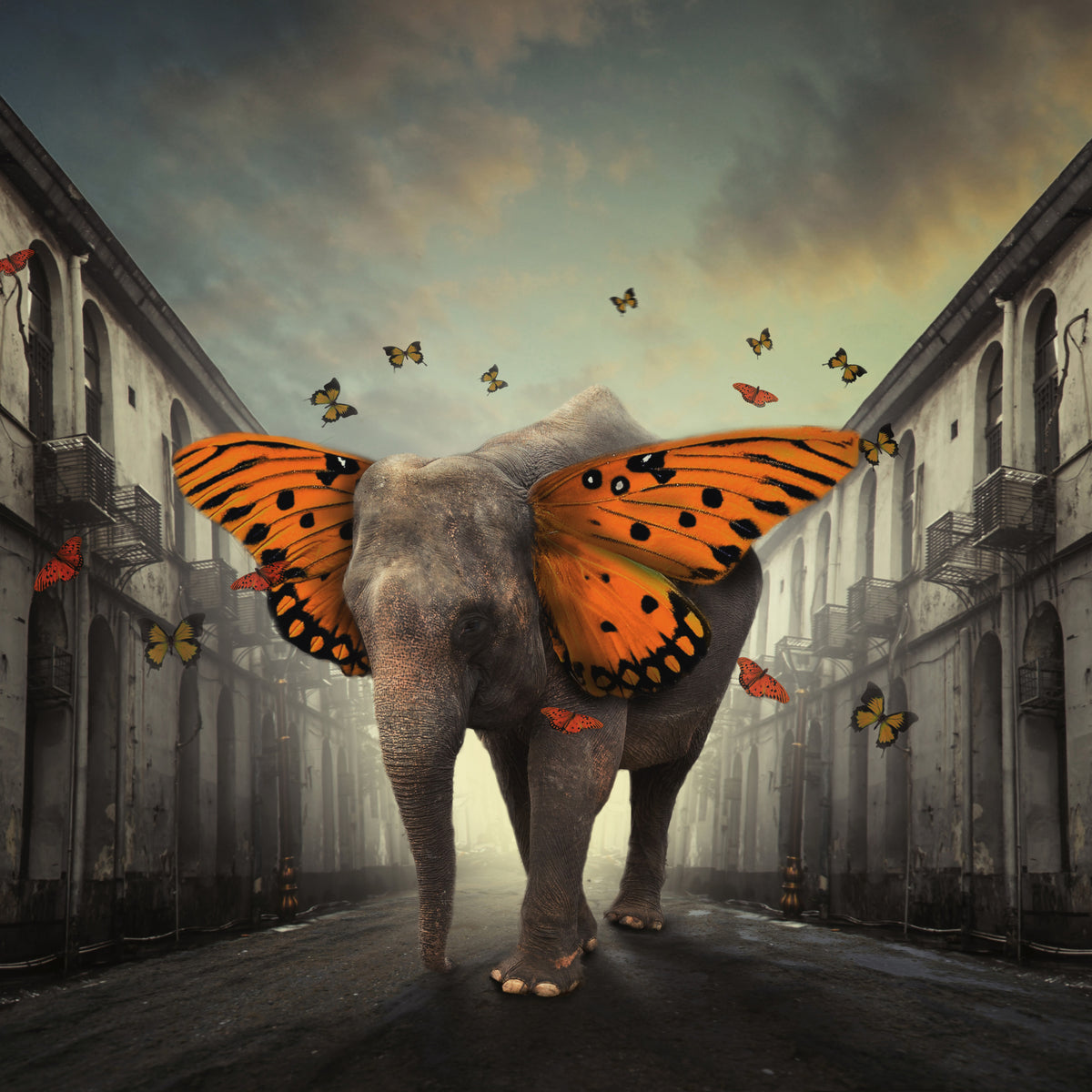 9-piece-canvas-print-butterphant