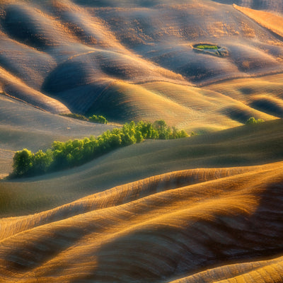 poster-print-fields-xlk