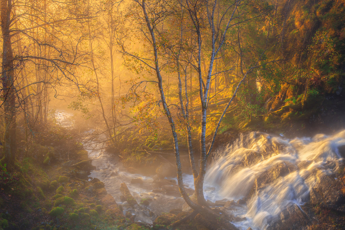 poster-print-first-light-xah