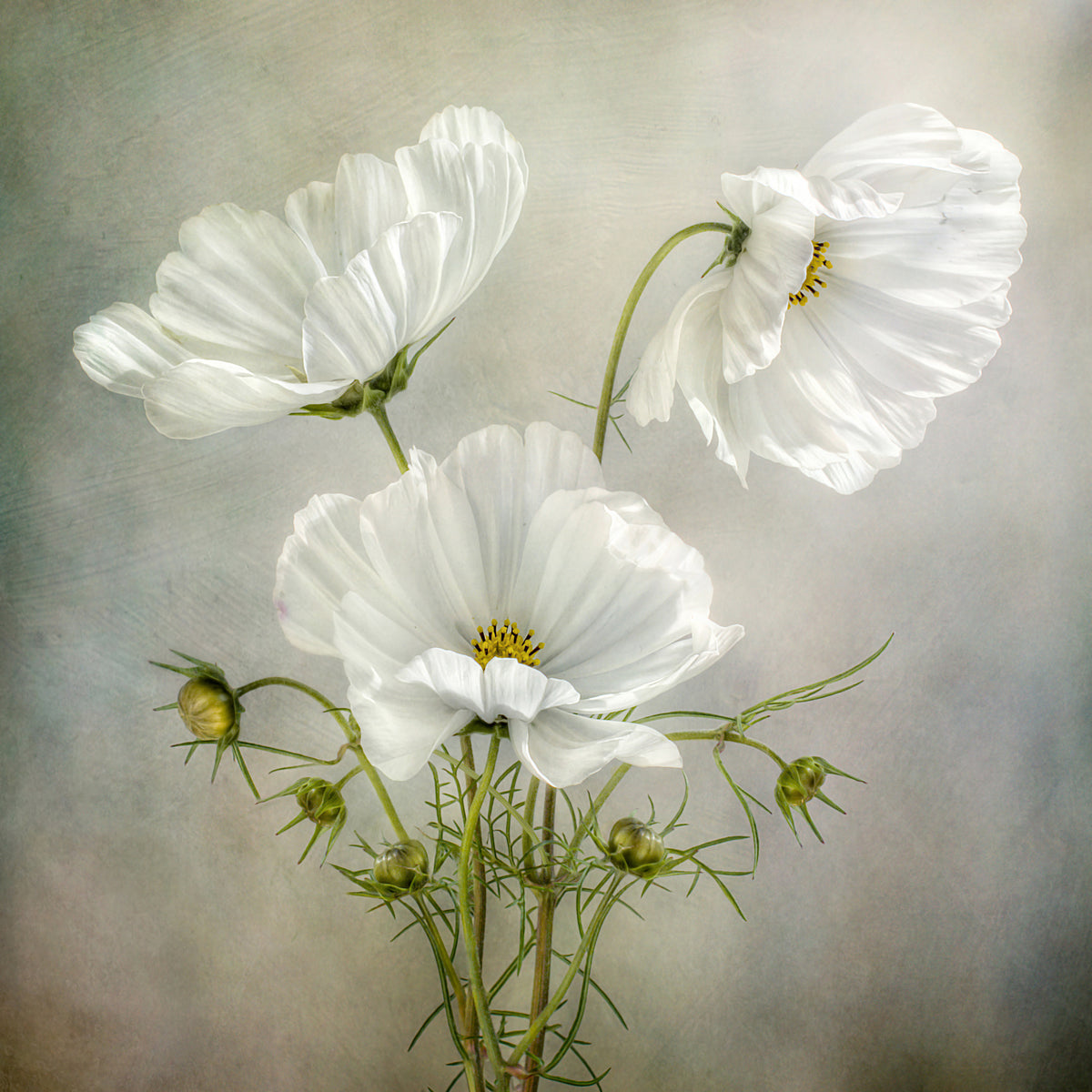9-piece-aluminium-print-cosmos-charm