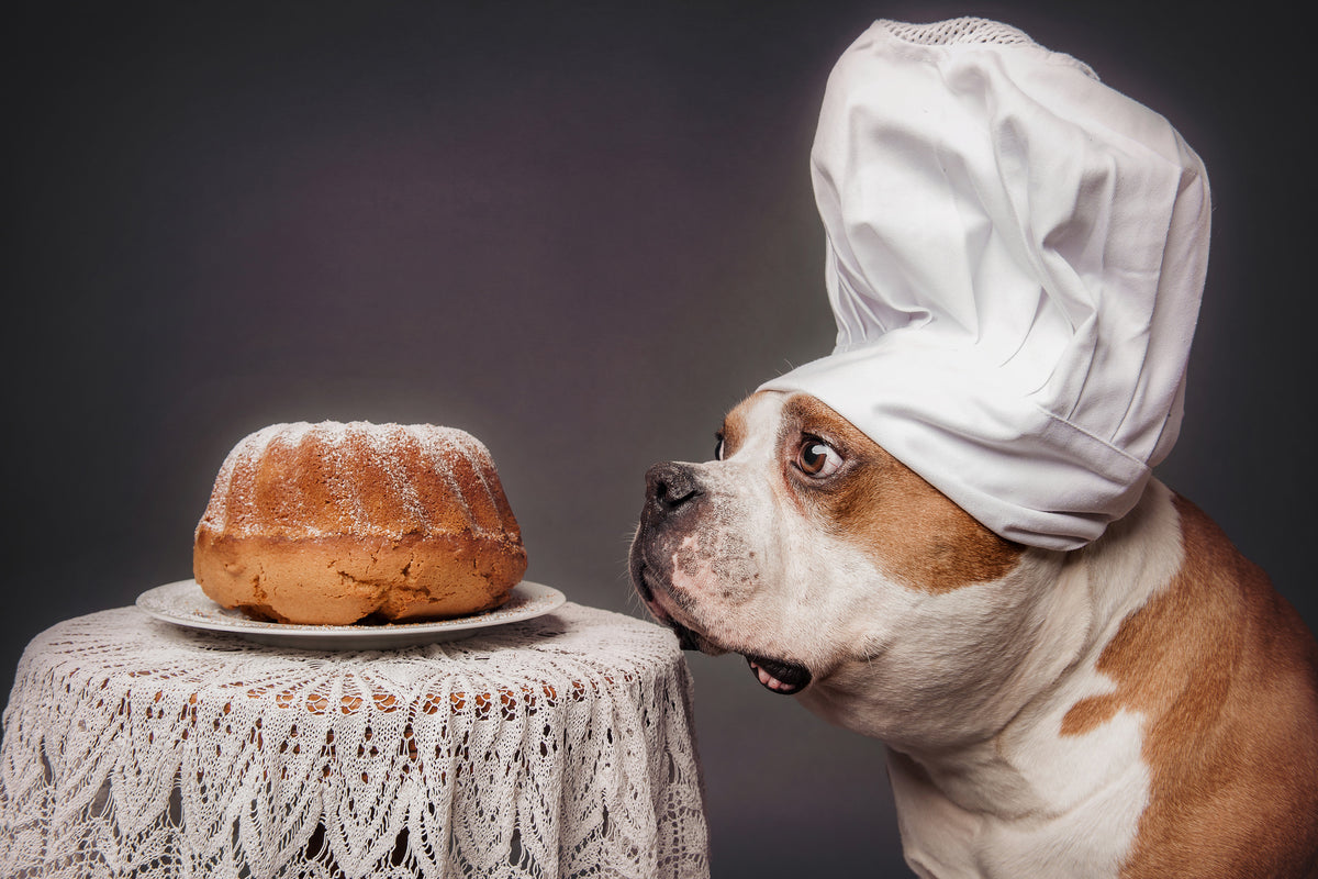 canvas-print-the-confectioner-and-his-masterpiece-x