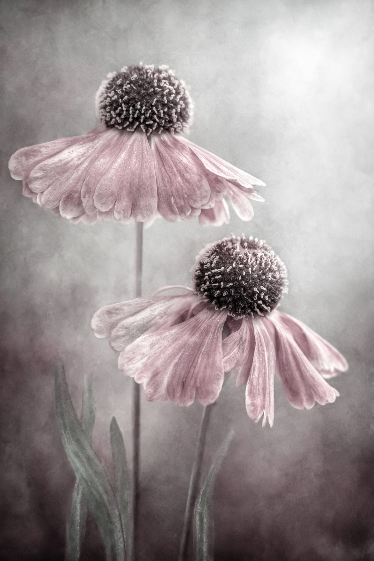 framedposter-print-duet-x